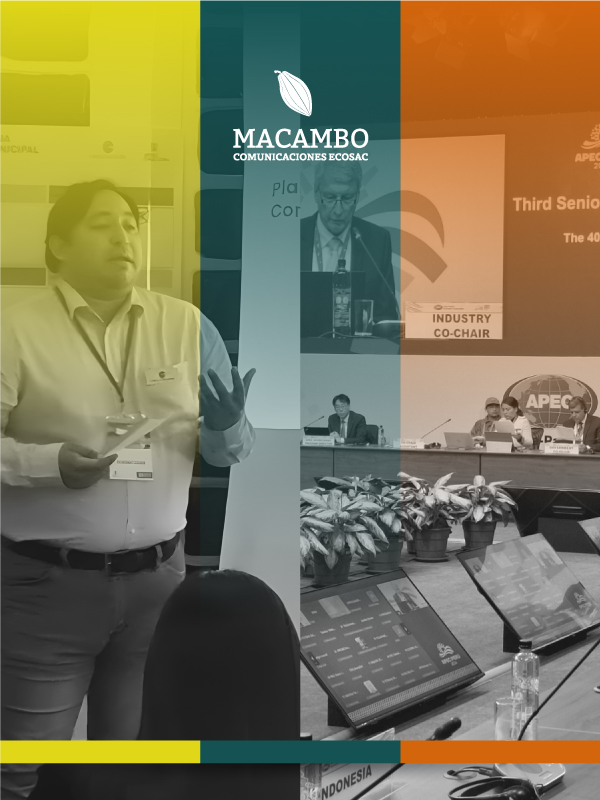 Servicios Estratégicos